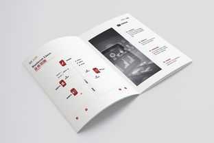 信息咨詢服務畫冊 您的專業導航與智慧伙伴